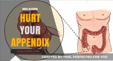 Exploring the Effects of Alcohol on Your Appendix Health