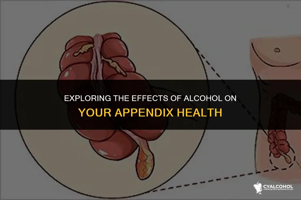 does alcohol hurt your appendix