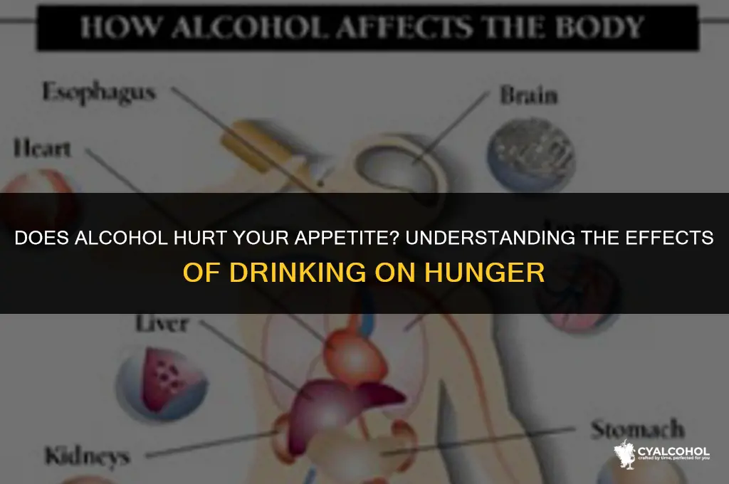 does alcohol hurt your appetite