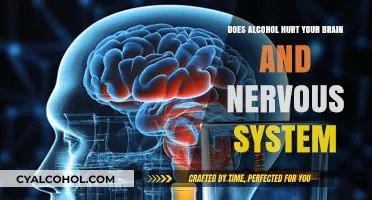 Alcohol's Impact: Brain and Nervous System Damage Explained