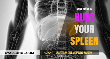 The Hidden Impact: How Alcohol Affects Your Spleen Health