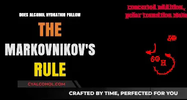 Does Alcohol Hydration Follow Markovnikov's Rule? A Detailed Analysis