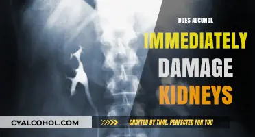 The Sobering Truth: Alcohol's Immediate Impact on Kidney Health