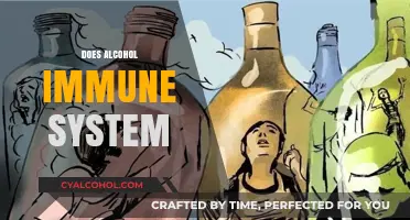 How Alcohol Impacts Your Immune System: Risks and Effects Explained