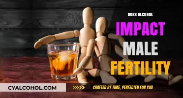 Exploring the Effects of Alcohol on Male Fertility: A Comprehensive Guide