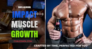 Unveiling the Truth: Alcohol's Surprising Effects on Muscle Growth