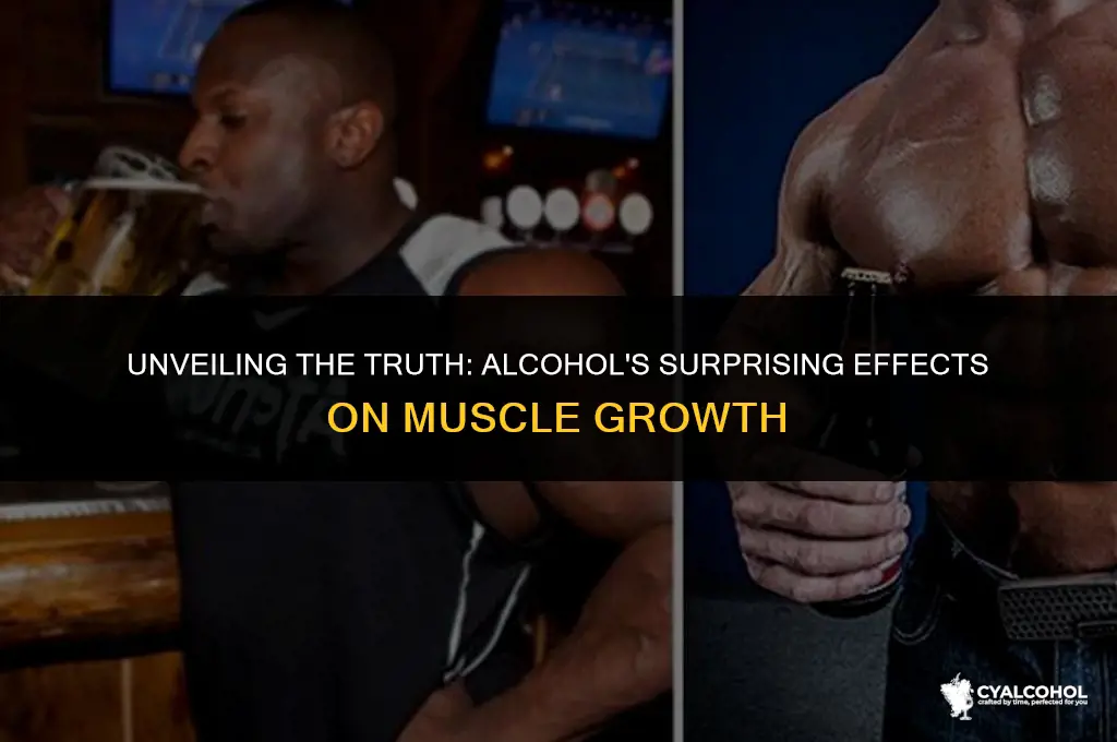 does alcohol impact muscle growth