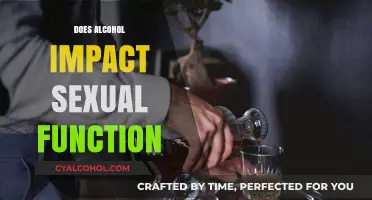 Exploring the Effects of Alcohol on Sexual Function: A Comprehensive Guide