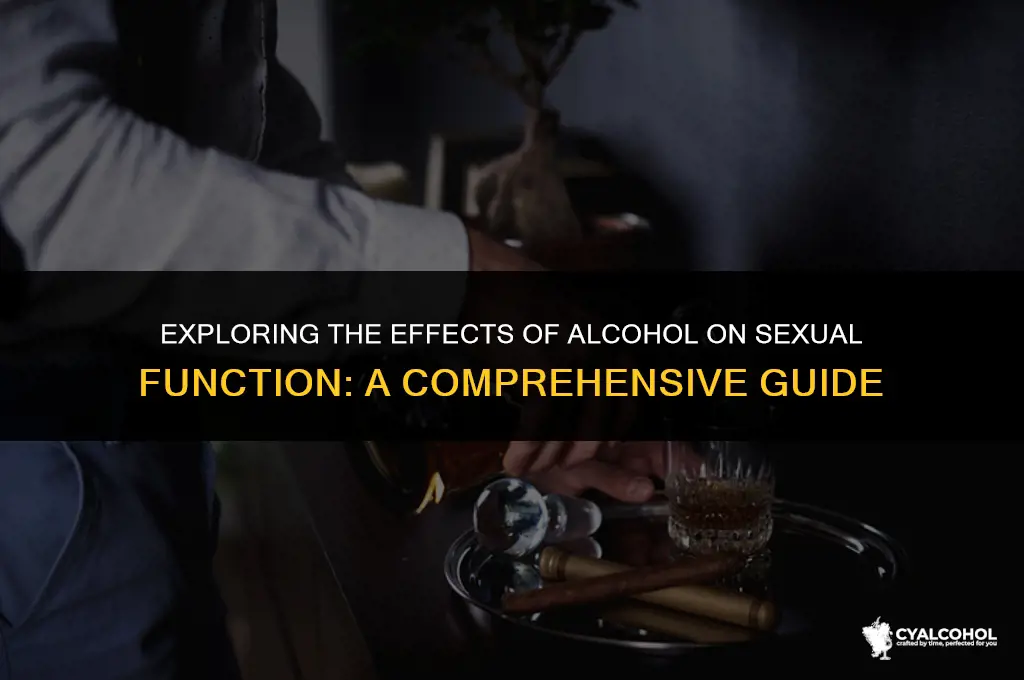 does alcohol impact sexual function