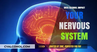 Alcohol's Effects on the Nervous System: Understanding the Impact