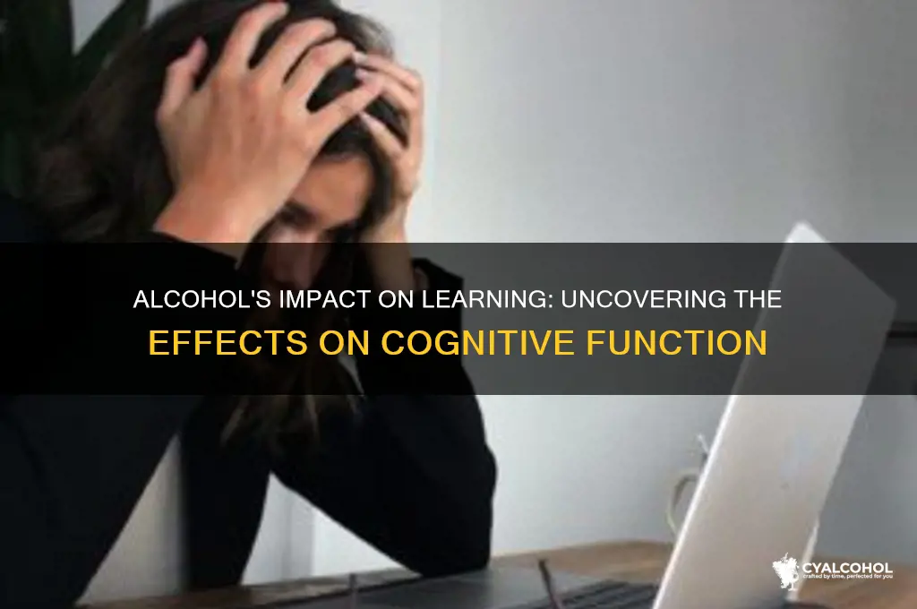 does alcohol impair learning