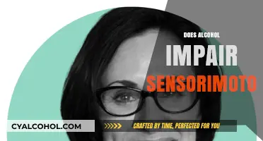 Alcohol's Impact: How Drinking Impairs Sensorimotor Skills and Coordination