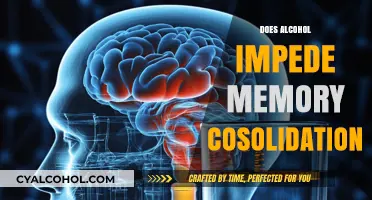 Exploring the Effects of Alcohol on Memory Consolidation