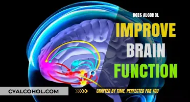 Exploring the Myth: Can Alcohol Really Boost Brain Function?