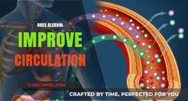 Alcohol and Circulation: Debunking Myths About Its Impact on Blood Flow