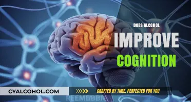 Alcohol and Brain Function: Does Drinking Enhance Cognitive Abilities?