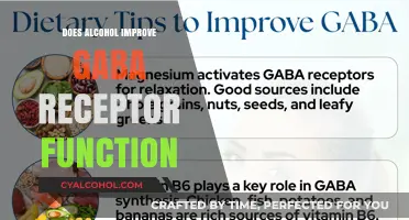 Alcohol's Impact on GABA Receptors: Enhancing or Disrupting Brain Function?