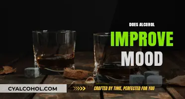 Alcohol and Mood: Does Drinking Really Lift Your Spirits?