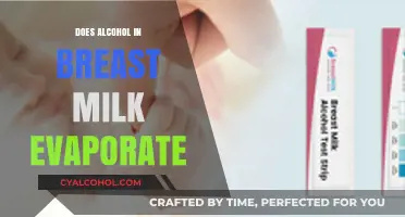 Alcohol in Breast Milk: Does It Evaporate? Facts and Safety Tips