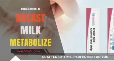 Alcohol in Breast Milk: Metabolism, Safety, and What Moms Need to Know
