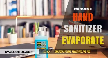 Does Alcohol in Hand Sanitizer Evaporate? Facts and Insights