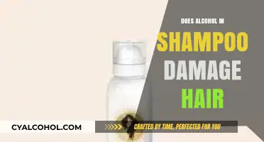 Alcohol in Shampoo: Does It Harm Your Hair's Health?
