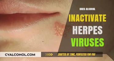 Exploring the Effects of Alcohol on Herpes Viruses: What You Need to Know