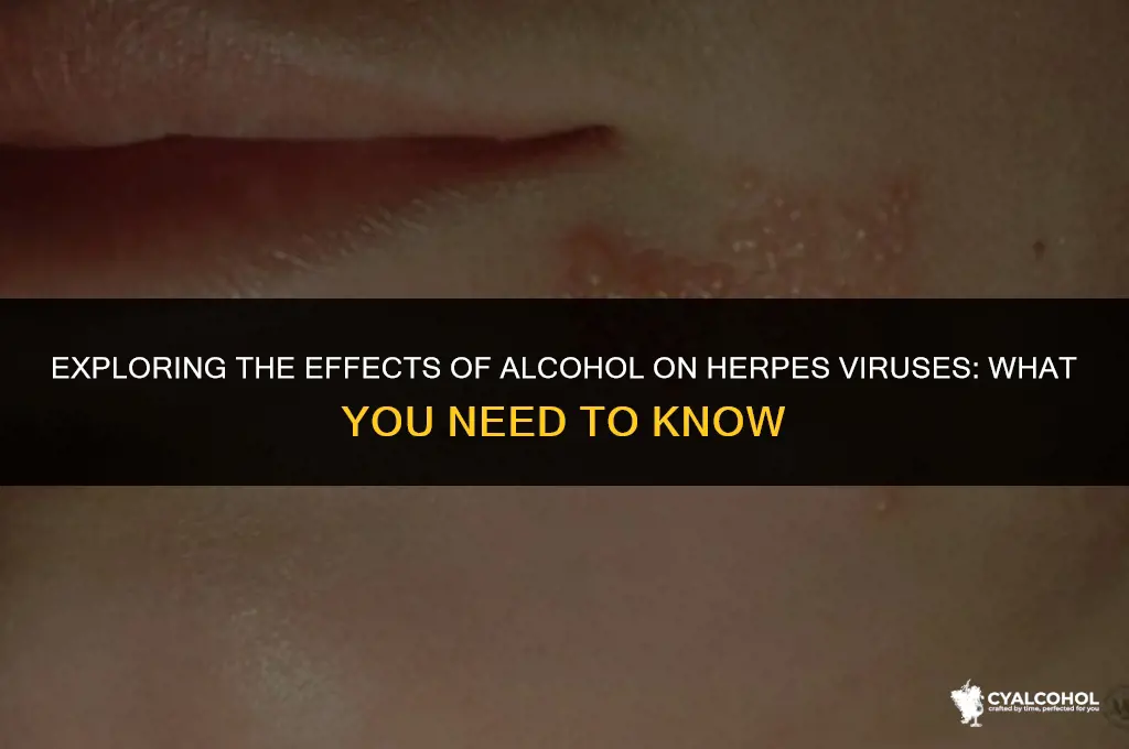 does alcohol inactivate herpes viruses