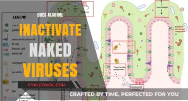 Unveiling the Truth: Alcohol's Impact on Naked Viruses