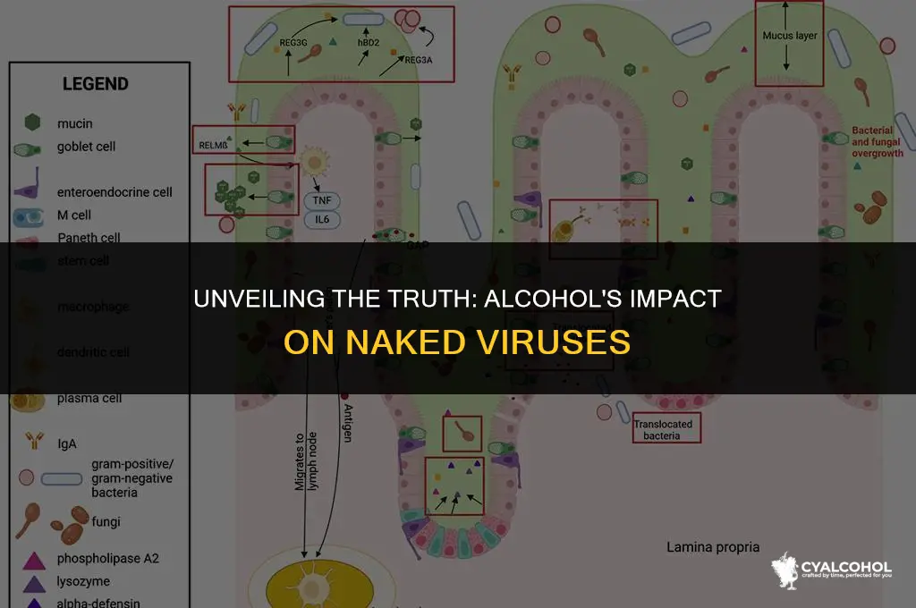 does alcohol inactivate naked viruses