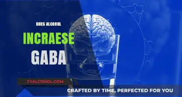 Does Alcohol Boost GABA Levels? Unraveling the Brain Chemistry Connection