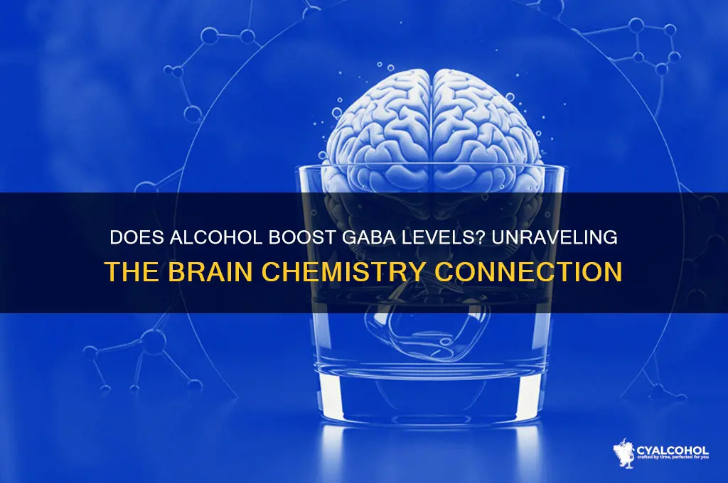 does alcohol incraese gaba