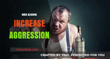 Alcohol and Aggression: Unraveling the Link Between Drinking and Anger