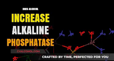 Exploring the Link: Alcohol Consumption and Alkaline Phosphatase Levels