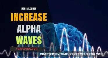 Exploring the Effects of Alcohol on Brain Waves: A Comprehensive Guide