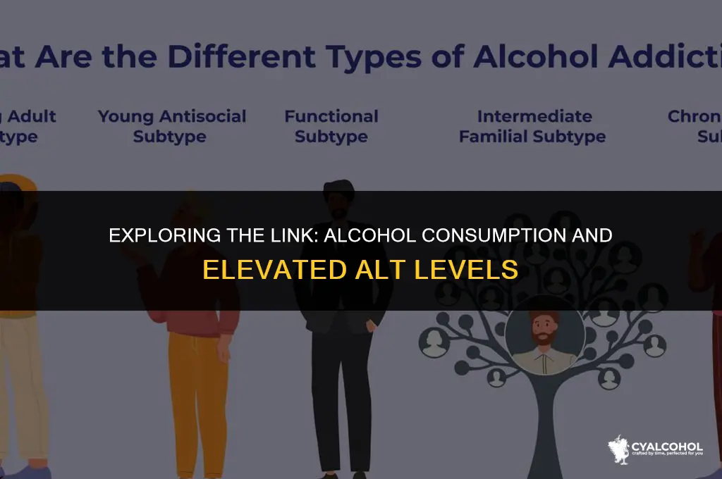 does alcohol increase alt levels