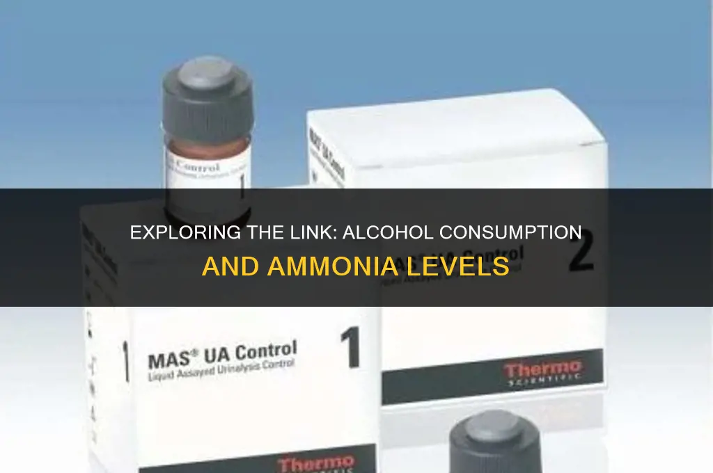 does alcohol increase ammonia levels
