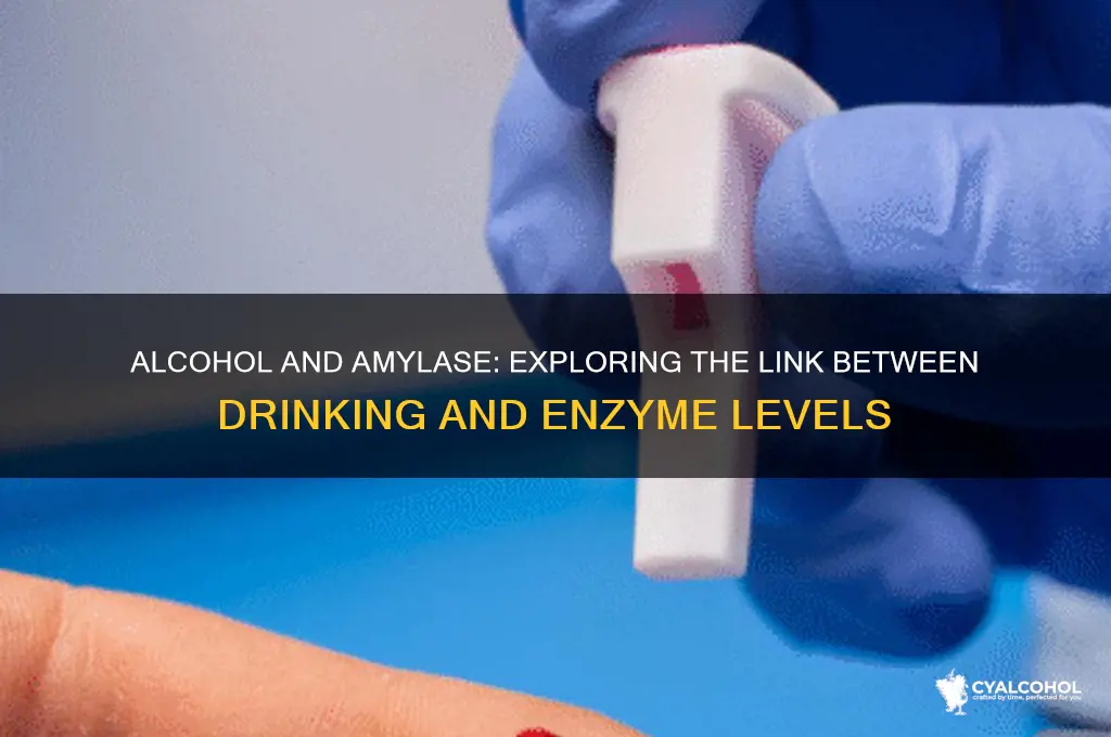 does alcohol increase amylase