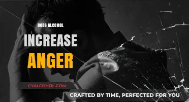 Alcohol and Anger: Unraveling the Complex Link Between Drinking and Rage