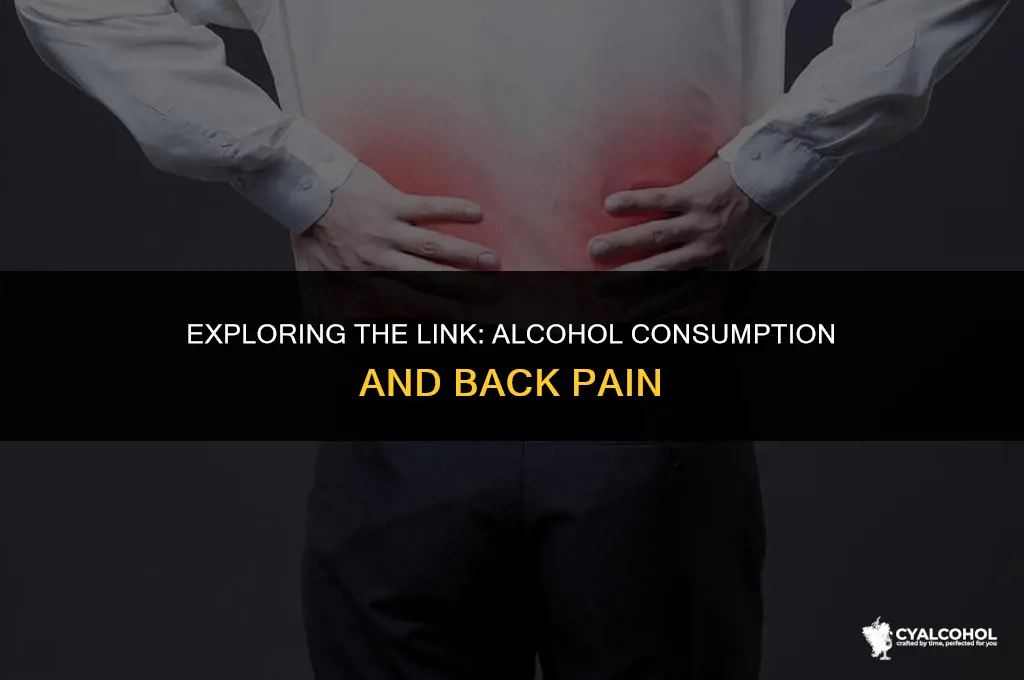 does alcohol increase back pain