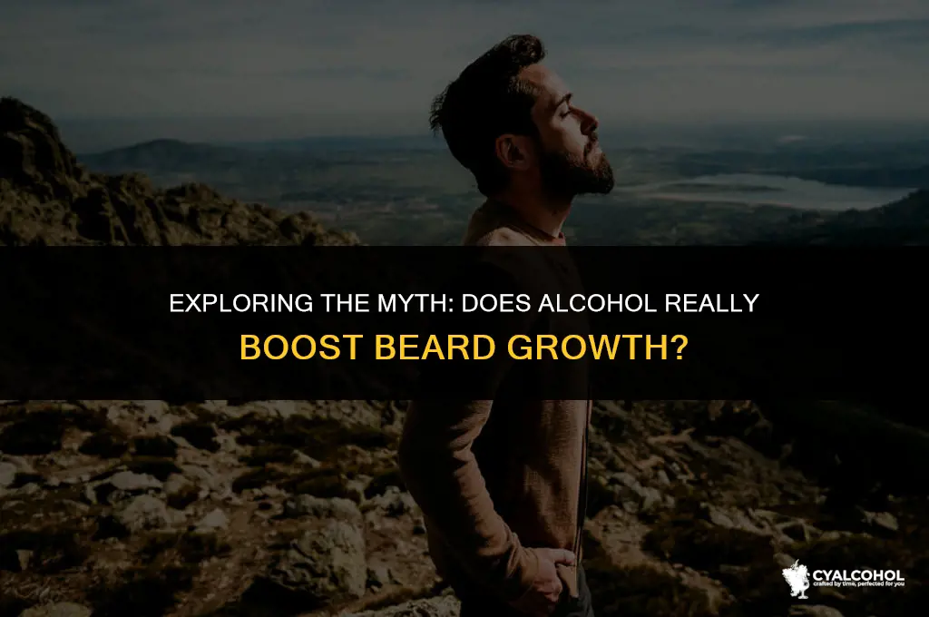 does alcohol increase beard growth