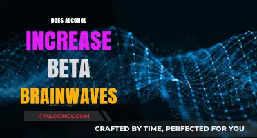 Exploring the Link: Alcohol's Impact on Beta Brainwaves