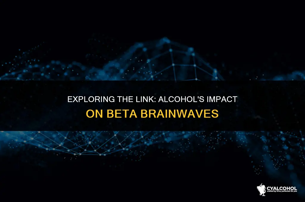 does alcohol increase beta brainwaves