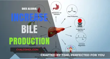 Exploring the Effects of Alcohol on Bile Production: A Comprehensive Guide