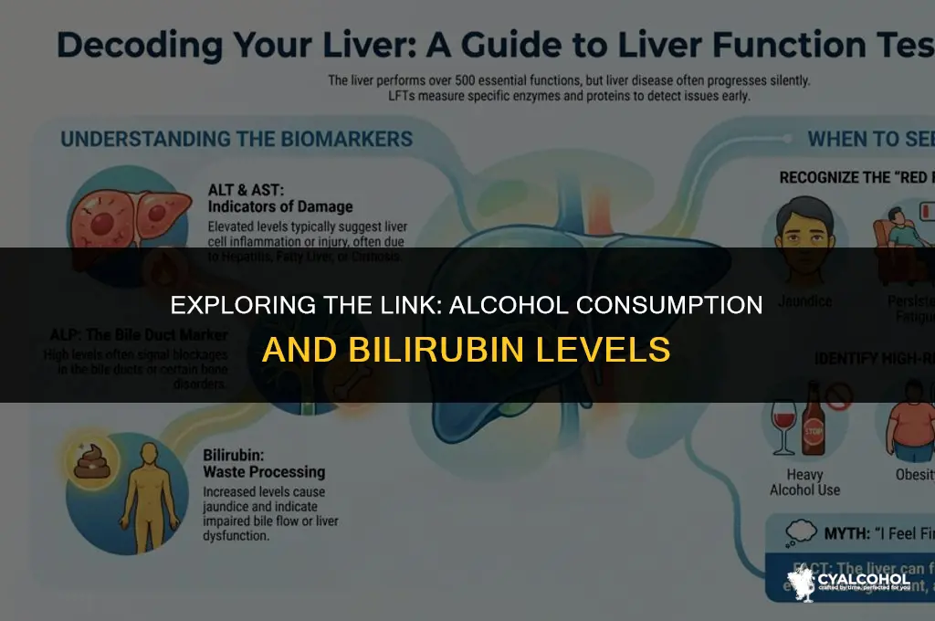 does alcohol increase bilirubin levels