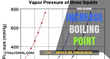 Exploring the Science: Does Alcohol Raise Water's Boiling Point?