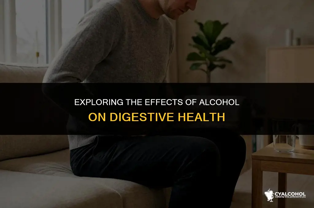 does alcohol increase bowel movement