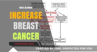 Unveiling the Truth: Alcohol's Impact on Breast Cancer Risk