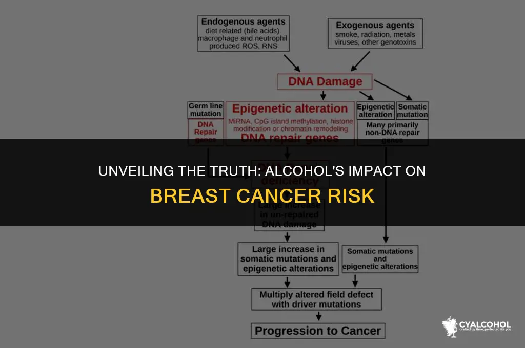 does alcohol increase breast cancer