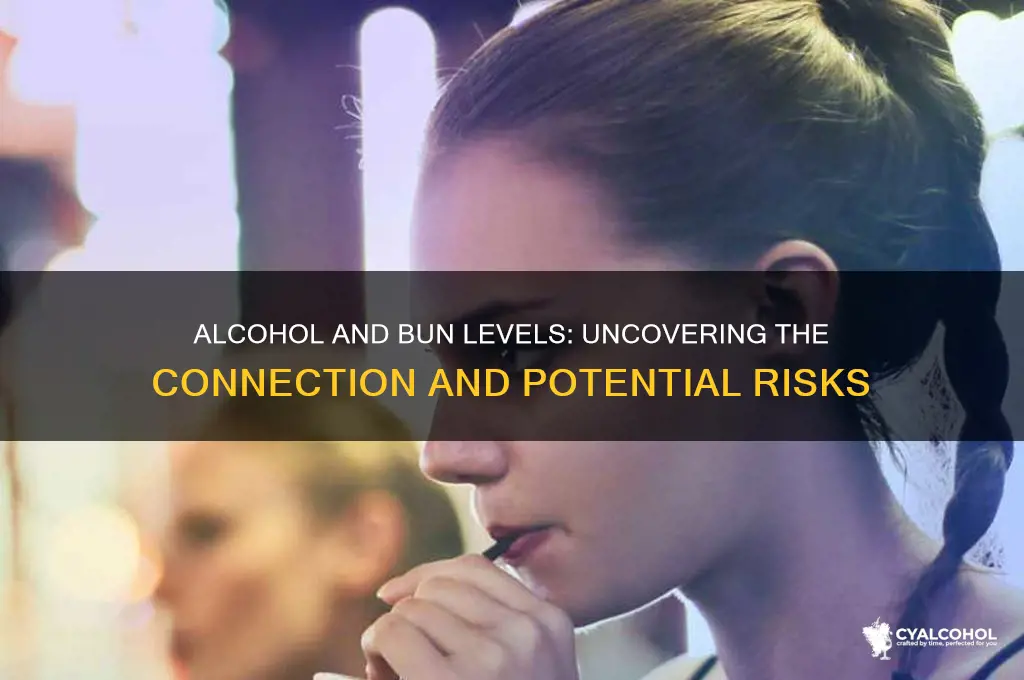 does alcohol increase bun